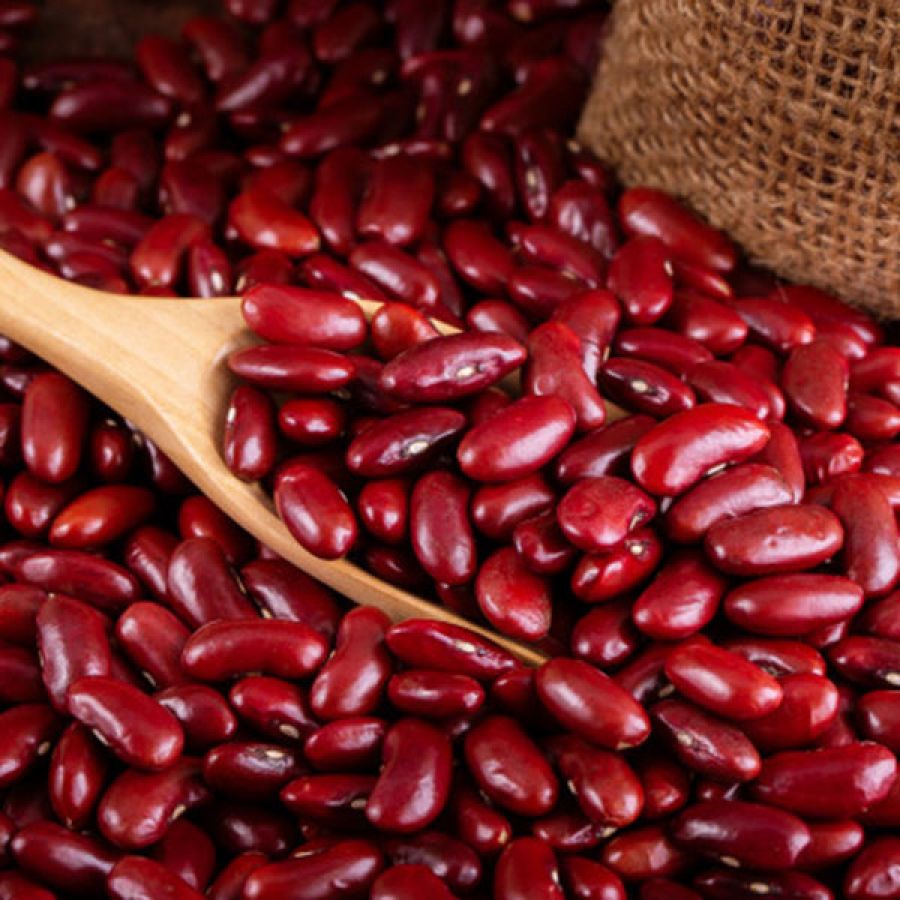 Phosphatidylserine - Brain Health - MemoGenesis Vitality Formula